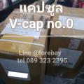 ᤻žת Capsule 0 բ ѧѵ empty vegetarian capsules  HPMC 089-323-2395 ᤻