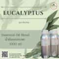 ѹ٤Ի (Eucalyptus essential oil)  Ҵ 1 ͹