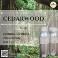 ѹ«մ ( CedawoodEssential oil)  Ҵ 1 ͹